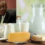 CBN Makes Foreign Exchange Accessible for Milk and Dairy Imports