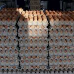 Price of Eggs (per crate) In Nigeria Today – March 21st, 2024