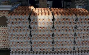 Price of Eggs (per crate) In Nigeria Today – March 21st, 2024